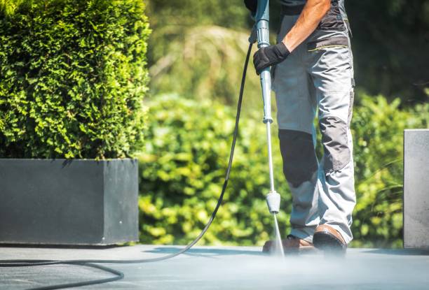 Solar Panel Cleaning in Oak Trail Shores, TX